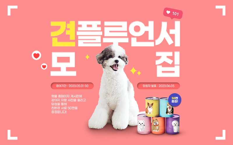 견플루언서 모집