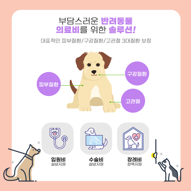건강 펫보험